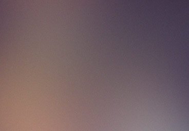 Fermentum sagittis proin demo