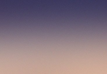 Sed quis rhoncus placerat demo