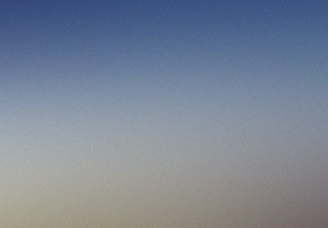 Varius magnis sollicitudin demo