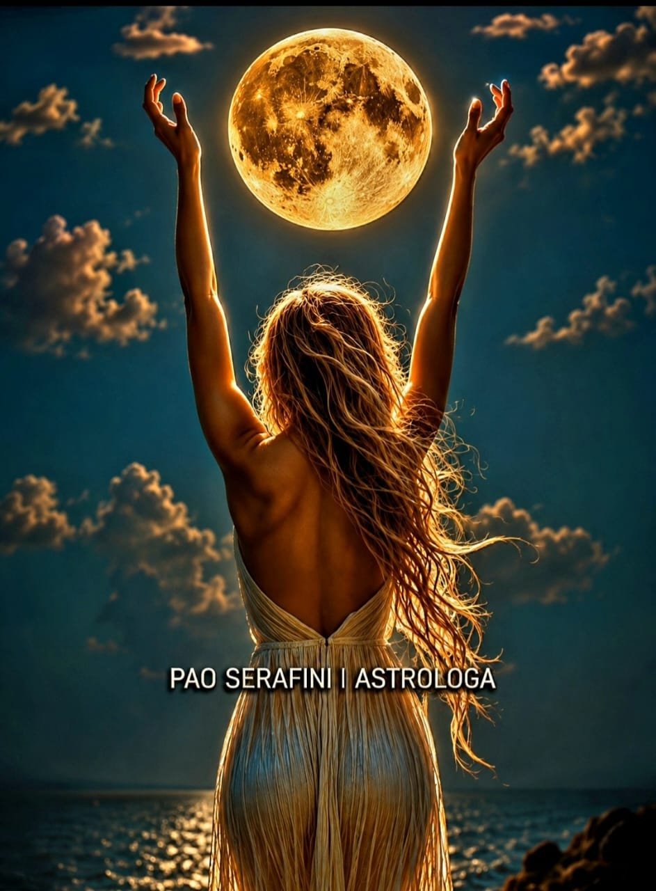 Página 14 del dossier